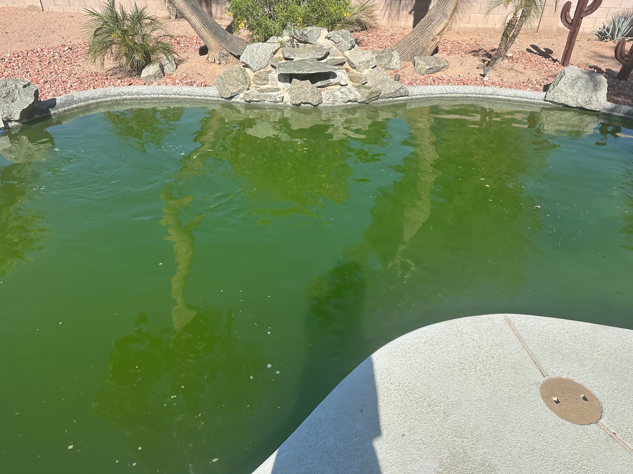Green pool before acid wash treatment